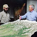 Afghanistan Site  Model