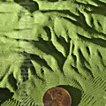 Topographic Map Model