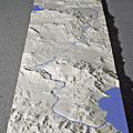 Nevada Models