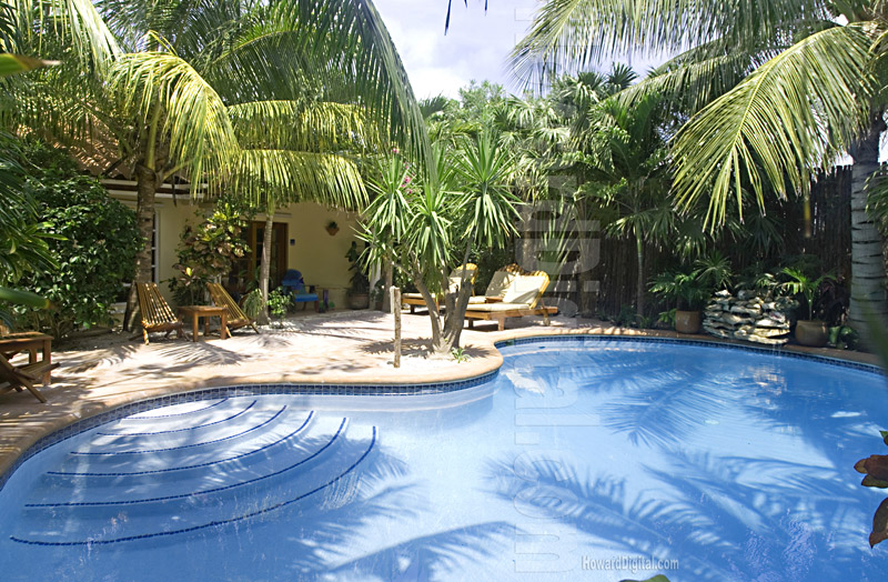 Palms Beach Pool