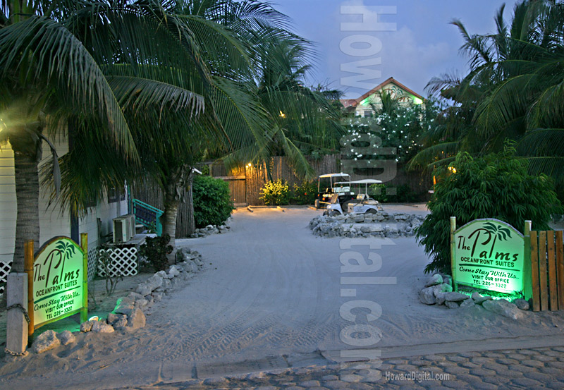 Palms Beach at Night