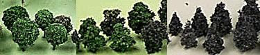 Miniature Trees